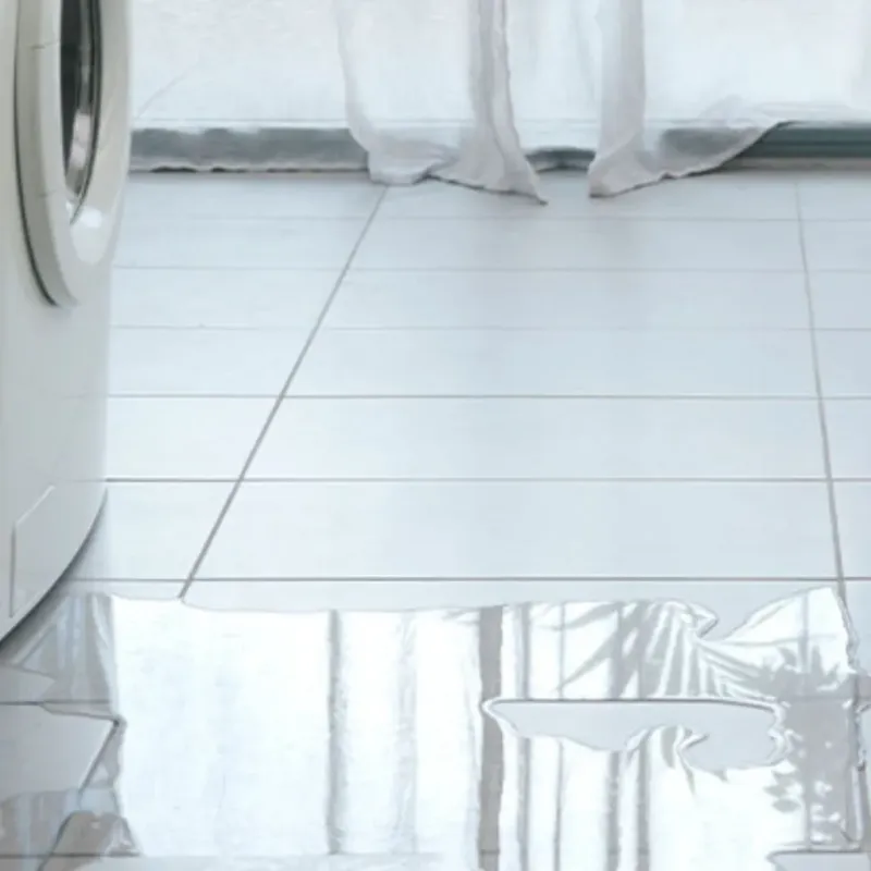 Appliance Leak Cleanup in Kingston, WA