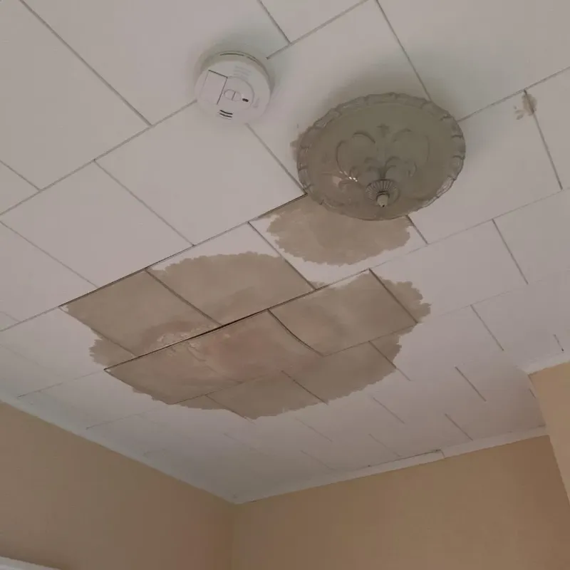 Ceiling Water Damage Repair in Kingston, WA