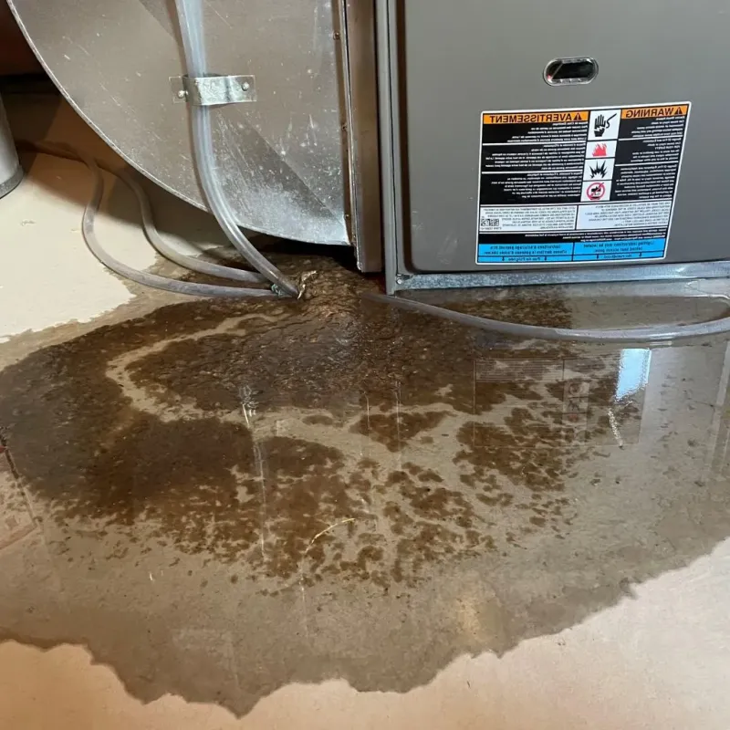 Pipe Burst and Leak Restoration in Kingston, WA