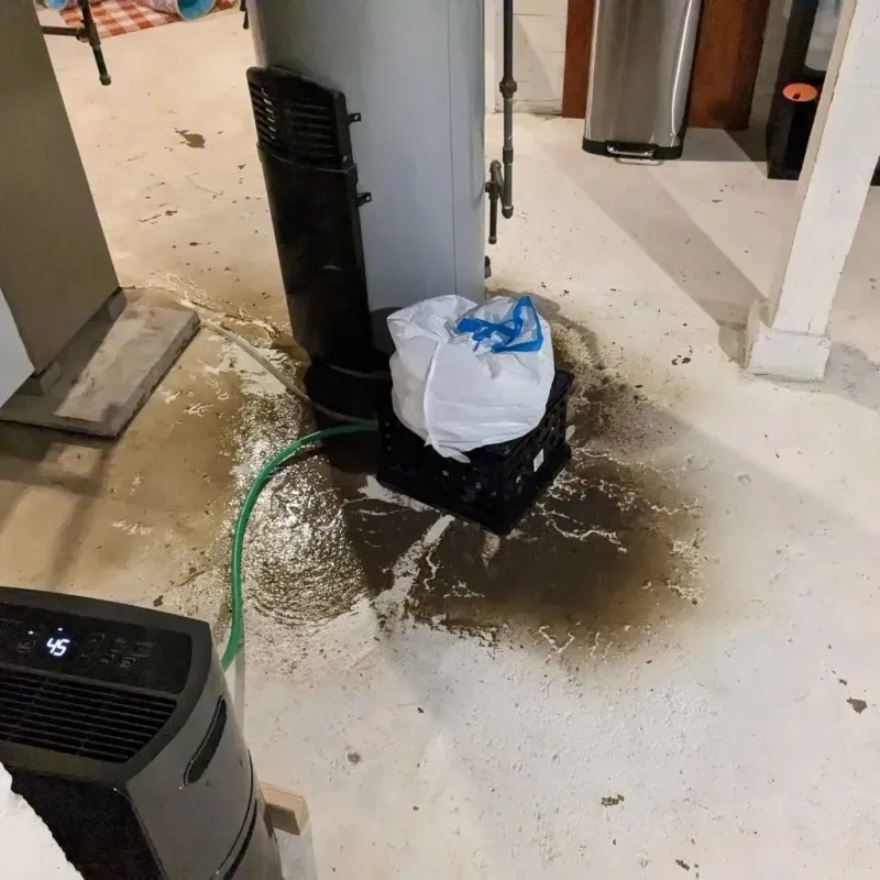Sewage Backup Cleanup Service in Kingston, WA